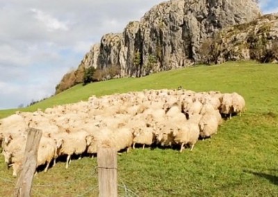 Basque Food Culture