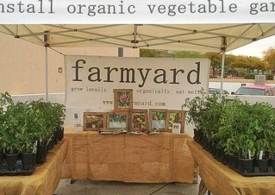 Farmyard: Vegetable Gardening—in the Desert!