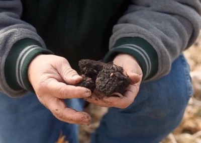 How to Create Healthy Soil