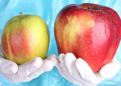 Tell USDA to Reject the GE Apple!