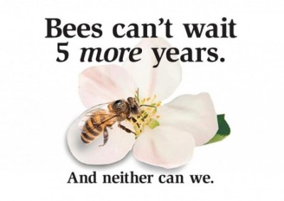Bees Can’t Wait 5 More Years