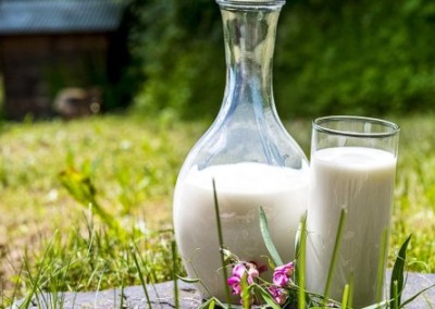 The Real Importance of Organic Milk
