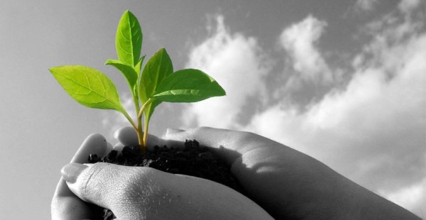 sustainable-e1400097367290