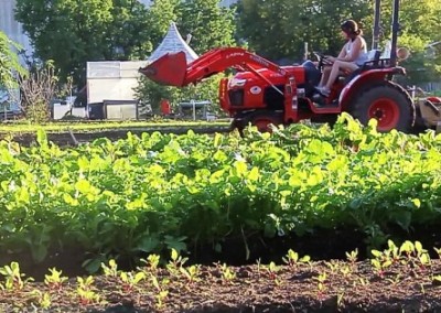 The Last Organic Outpost Urban Farm