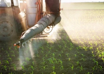 Help Stop “Agent Orange” Corn