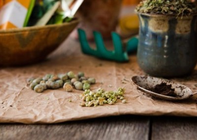 Johnny’s Selected Seeds: Behind Every Great Vegetable and Fruit Is a Seed
