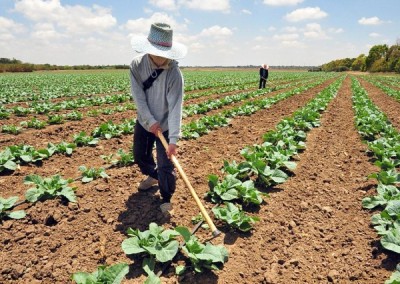 2014: The Year of Family Farming