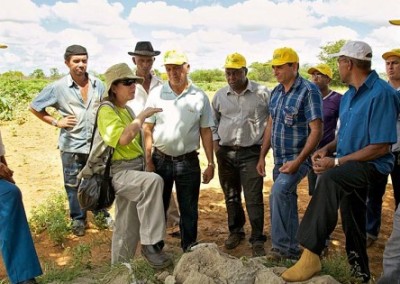 Remineralization: Brazil Enacts Groundbreaking Legislation for Sustainable Agriculture