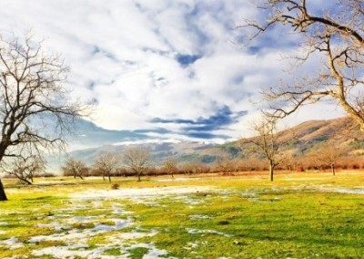 5 Ways to Make It to Spring