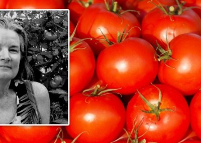 A GMO Scientist Becomes a GMO Skeptic