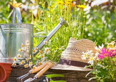 Your Gardening Questions Answered