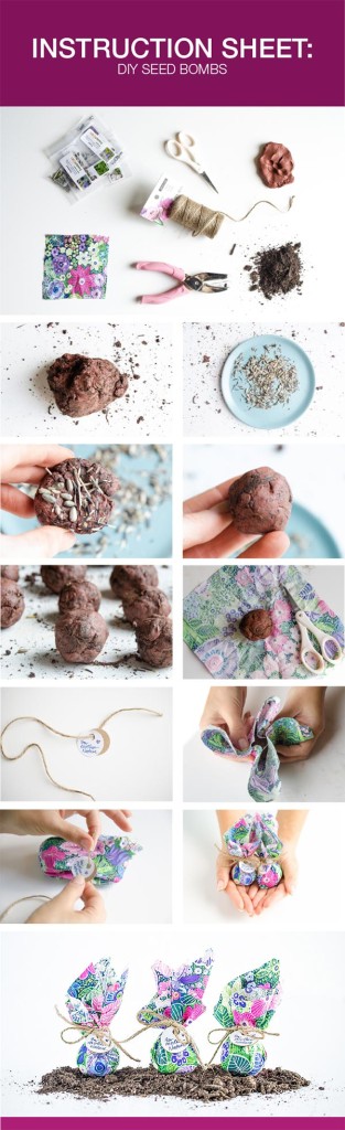 INSTRUCTIONS_SHEET_SEED_BOMBS-313x1024