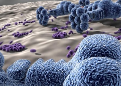 Nanotechnology and Food Safety: What You Need to Know