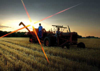 Stewards of the Land: New Model for Local Agriculture