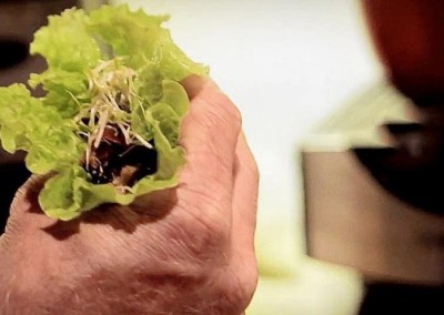 Raw Vegan Tacos!