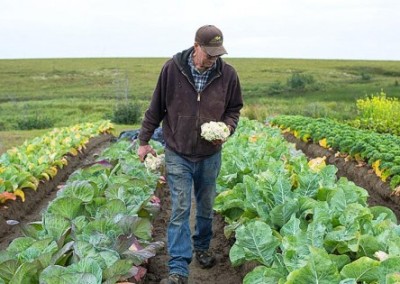 Not So Frost! Are We Underestimating Alaska’s Farming Potential?