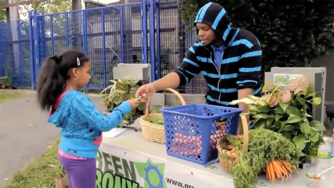 greenbronxkid
