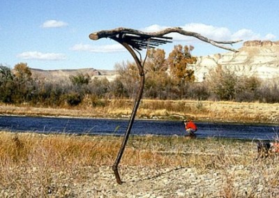 Can Art Save Threatened Species? Meet Eco-Artist Lynne Hull