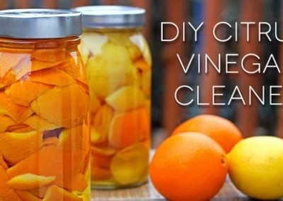 The Best-Smelling Citrus Cleaner Ever