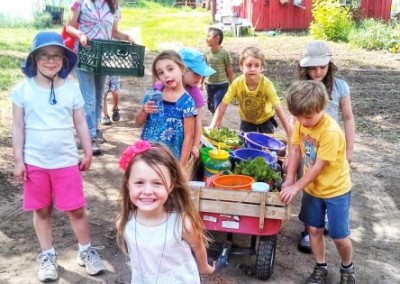 Cure Organic Farm: A Different Kind of Summer Camp
