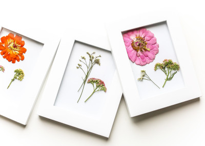 Save Those Gorgeous Flowers!