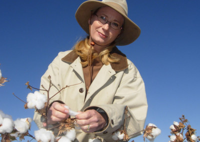 GMO Scientist Switches to Breeding Organic Cotton