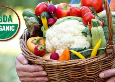 Why Organic Is Not Just a Fad or Trend