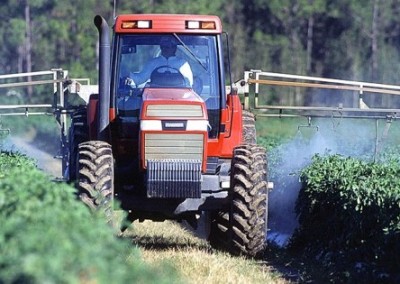 Bee-Killing Pesticides to Be Phased Out of Wildlife Refuges