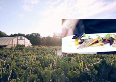 Epiphany Farms Enterprise: Truly Farm to Fork