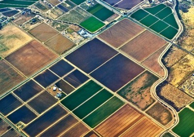 National Geographic Envisions the Future of Food