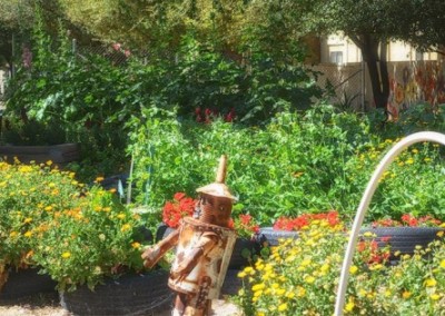 Urban Agriculture Projects in Phoenix