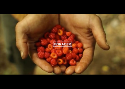 David Siller: Professional Forager