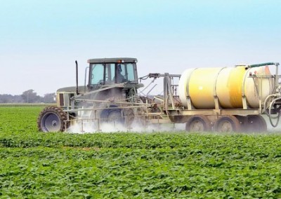 Last Chance to Stop New GMO Crops