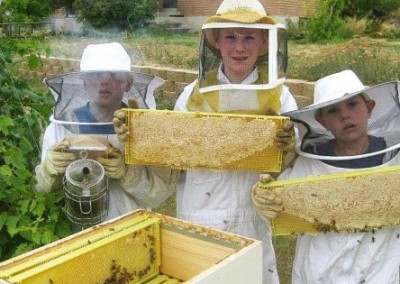 Bees Brothers:  Kids Saving Bees & Making Honey and Bitcoin Money