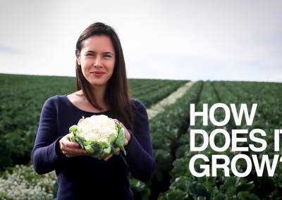Say What about Cauliflower?