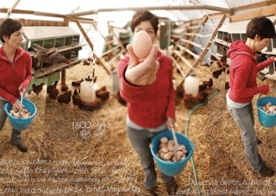 Douglas & Laura Gayeton: Lexicon of Sustainability