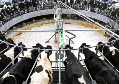 Idaho’s Ag-Gag Law Goes to Court