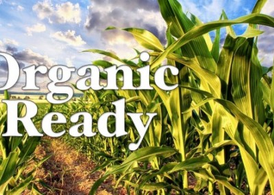 Organic Ready: Protecting Organic Corn from GMO Contamination