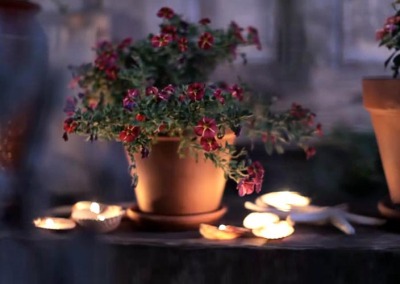 Turn Your Seashells Into Candles!