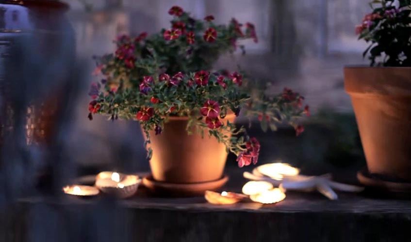 seashellcandles2