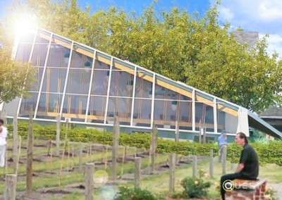 Urban Farming Now Includes Vineyards!