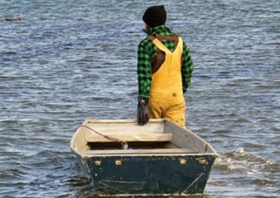 Love of Oysters Is Fueling New Crop of Small Farmers