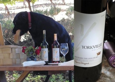 Yorkville Cellars: Celebrating 20 Organic Years