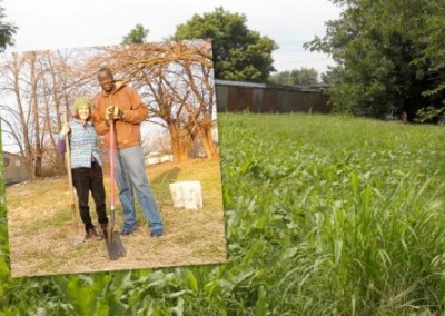 Turning Louisville’s Vacant Lots into Lots of Food