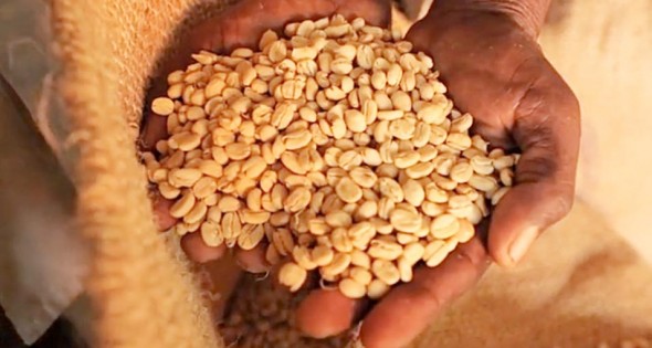 lovesongcoffee