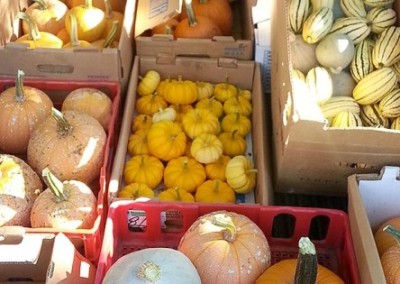 Quarter Acre Farm Goes the Full Organic Mile