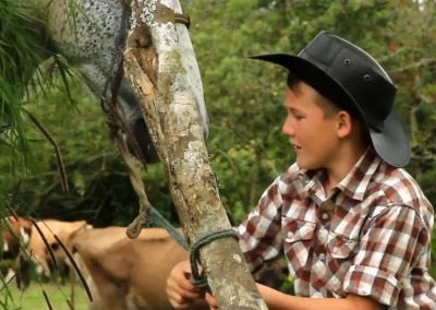 Visit Finca la Esperanza, A Stunning Organic Farm in Costa Rica