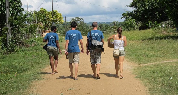 gapyear