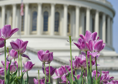 A Mindful Congress?