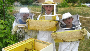 CF-beesbros
